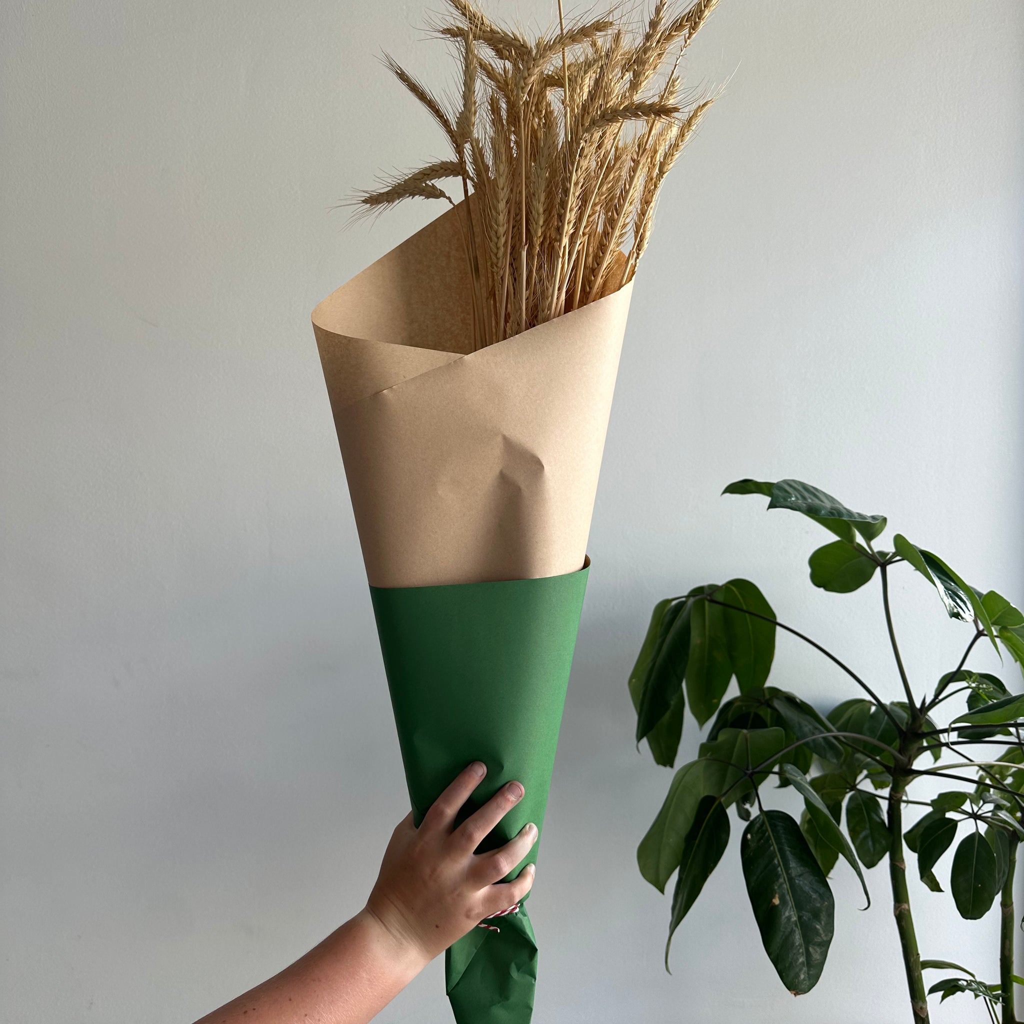 Dried Wheat Bouquet - Natural Grande