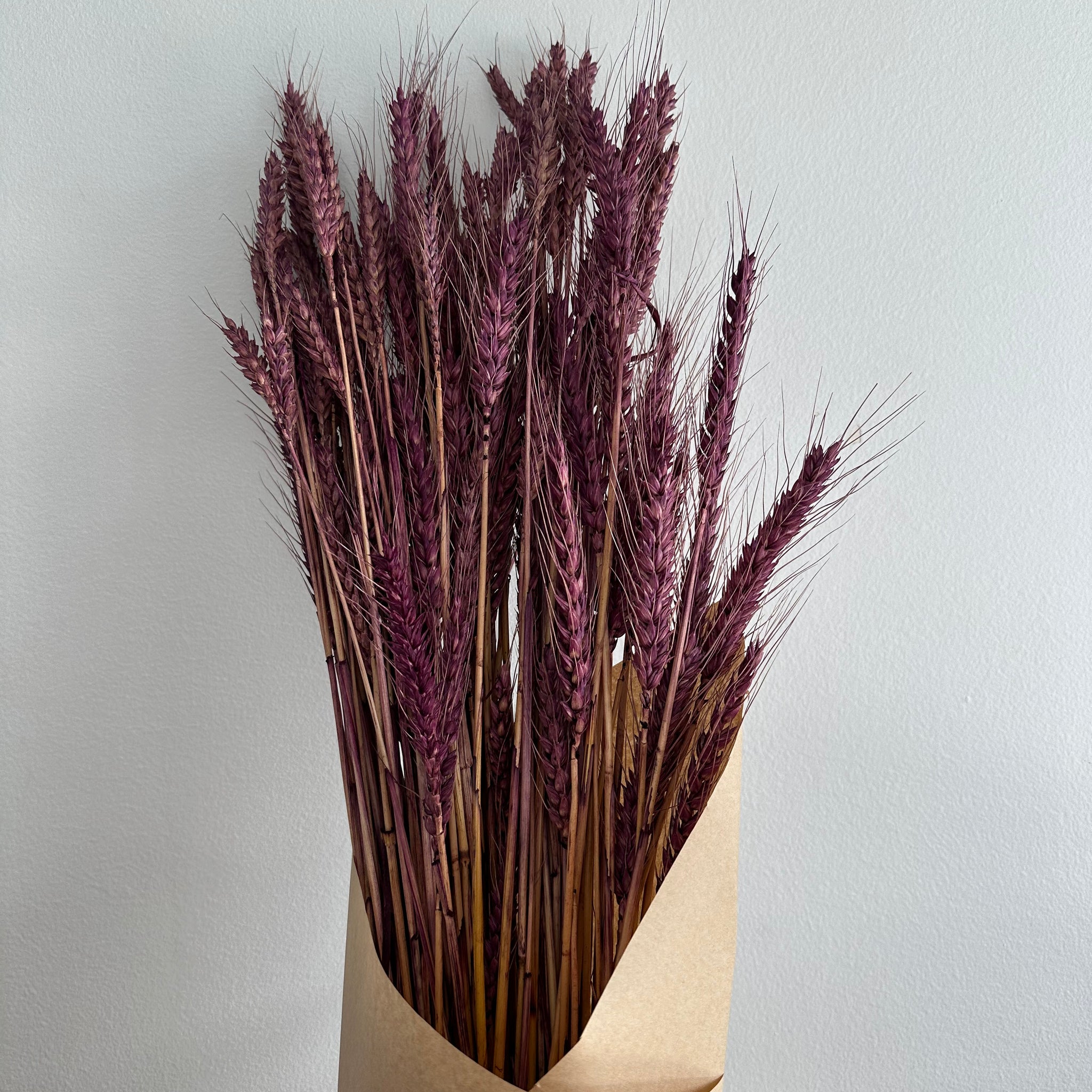 Dried Wheat Bouquet - Purple Medium