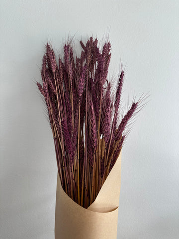 Dried Wheat Bouquet - Purple Medium