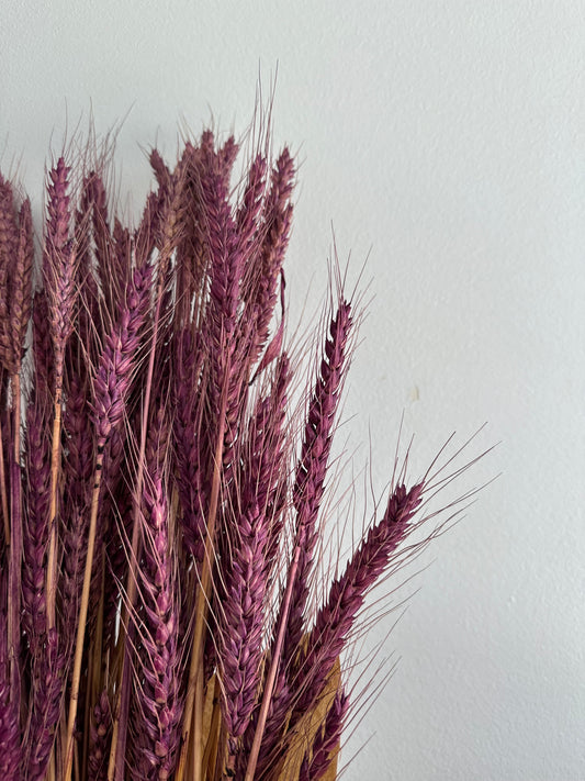 Dried Wheat Bouquet - Purple Grande