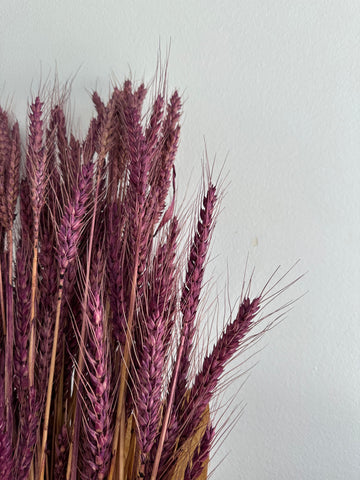 Dried Wheat Bouquet - Purple Small