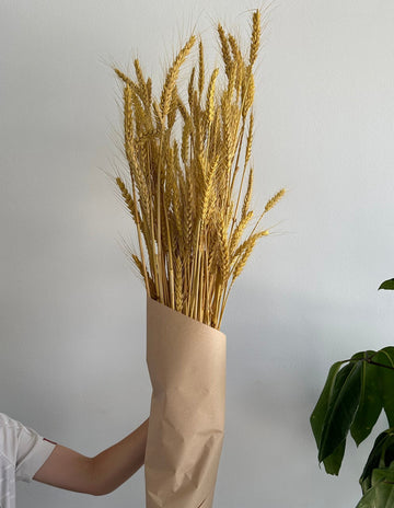 Dried Wheat Bouquet -bright yellow small