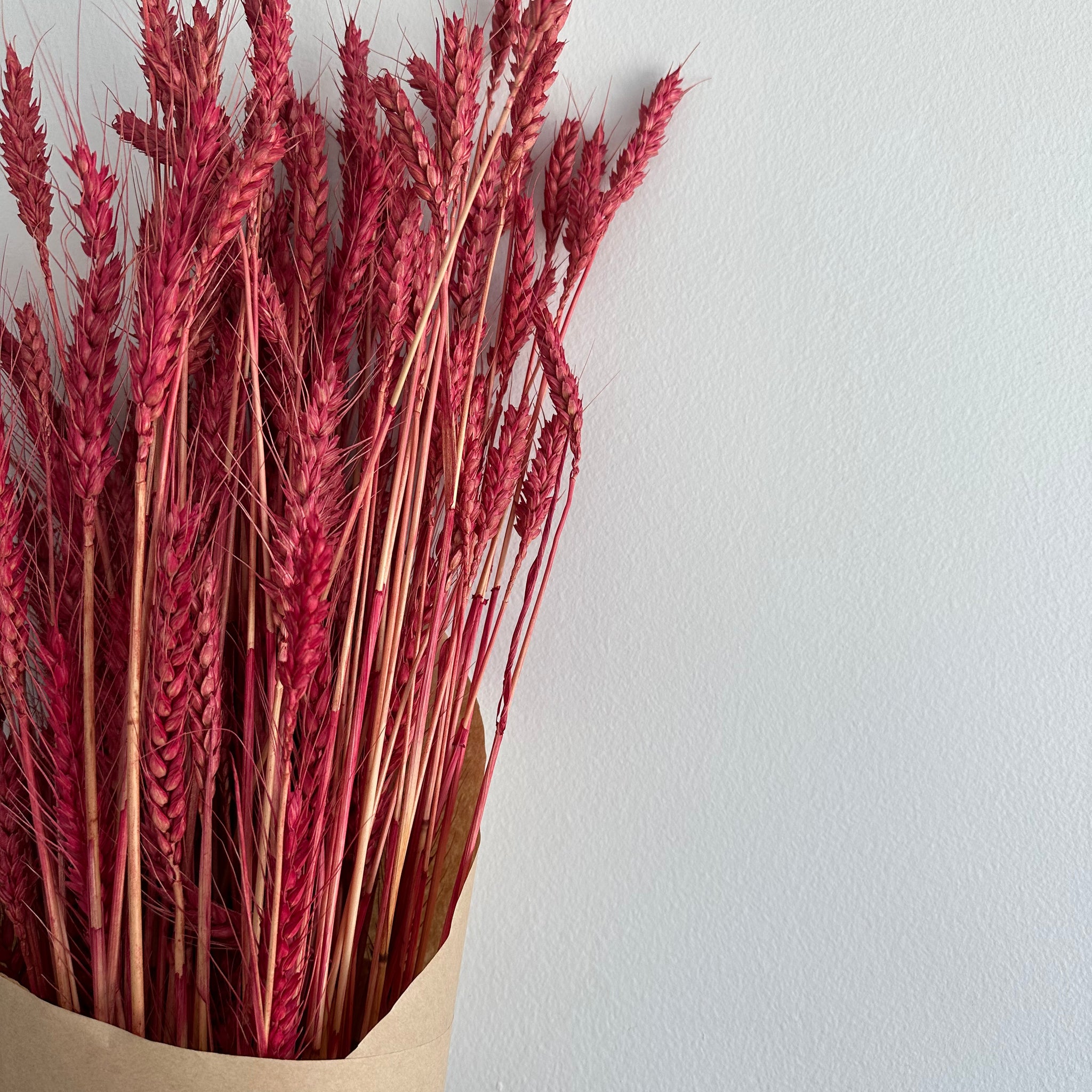 Dried Wheat Bouquet -bright red medium