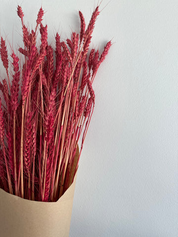 Dried Wheat Bouquet -bright red medium