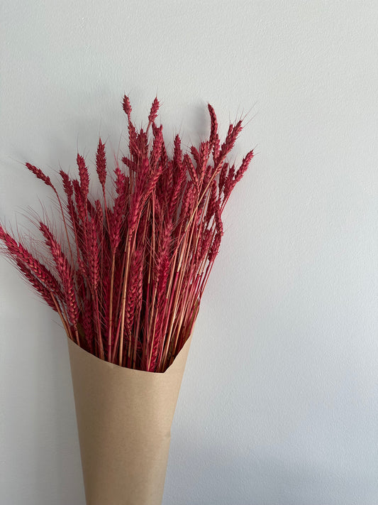 Dried Wheat Bouquet -bright red grande