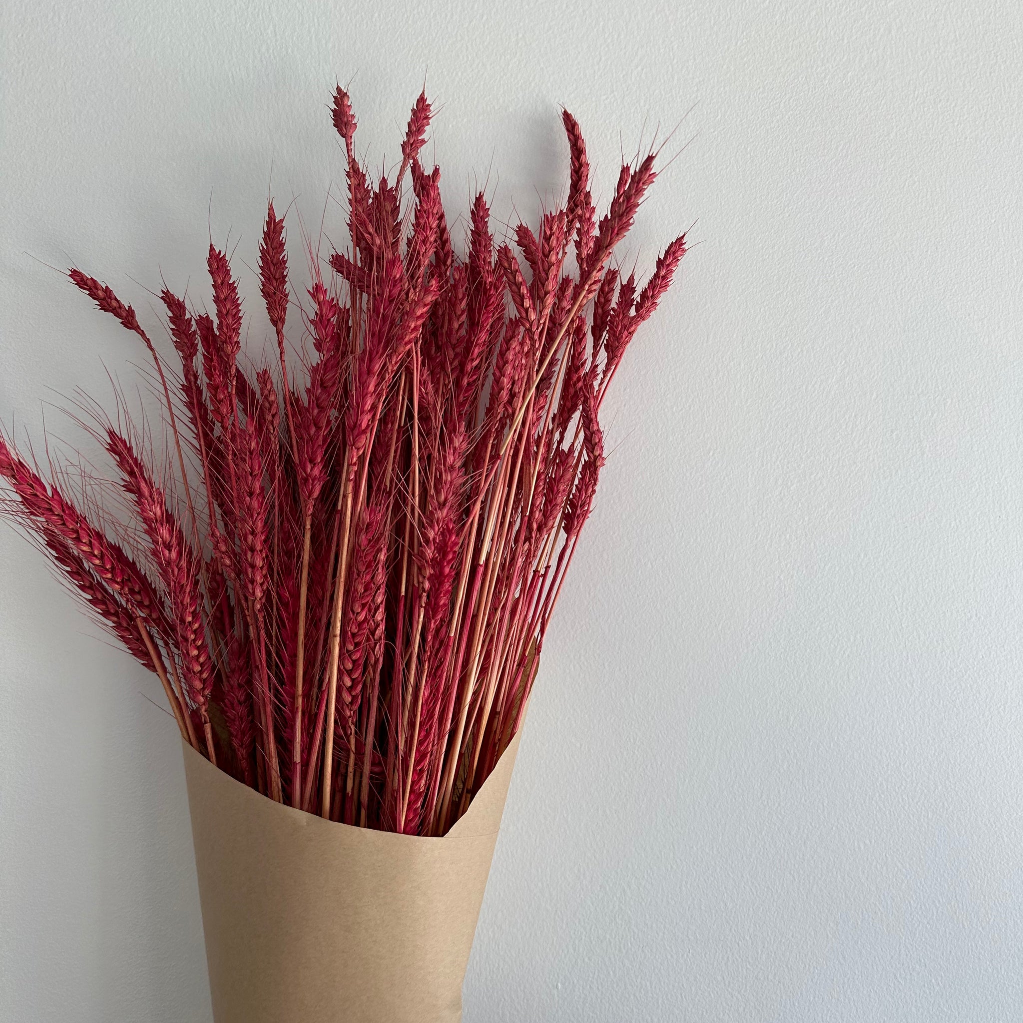 Dried Wheat Bouquet -bright red small