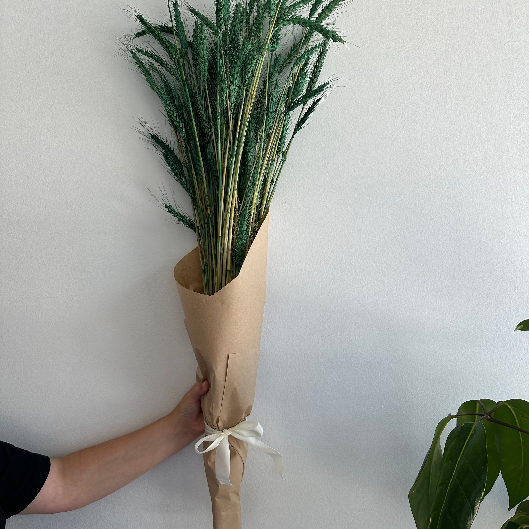 Dried Wheat Bouquet - Bright Green Grande