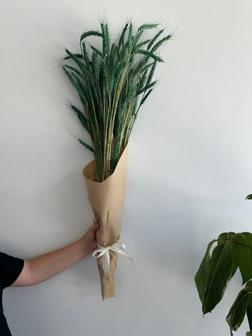 Dried Wheat Bouquet - Bright Green Grande