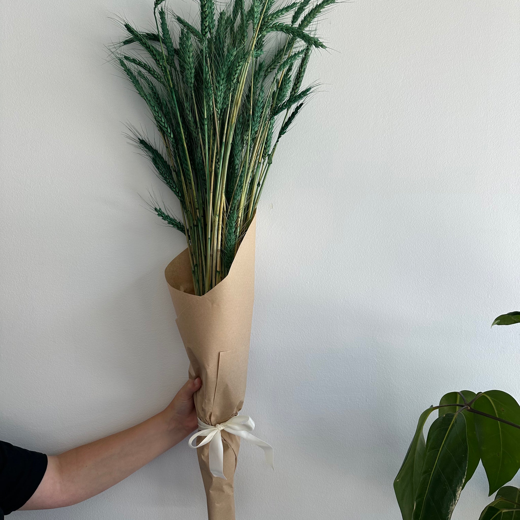 Dried Wheat Bouquet - Bright Green Small