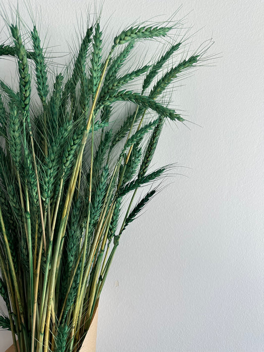 Dried Wheat Bouquet - Bright Green Small