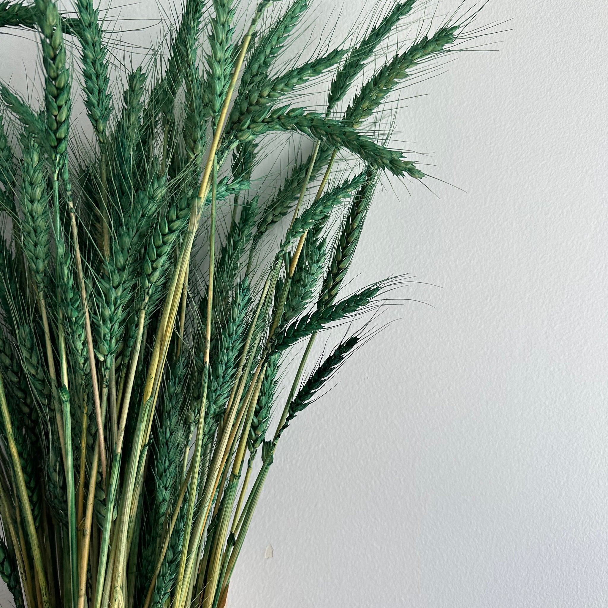 Dried Wheat Bouquet - Bright Green Medium