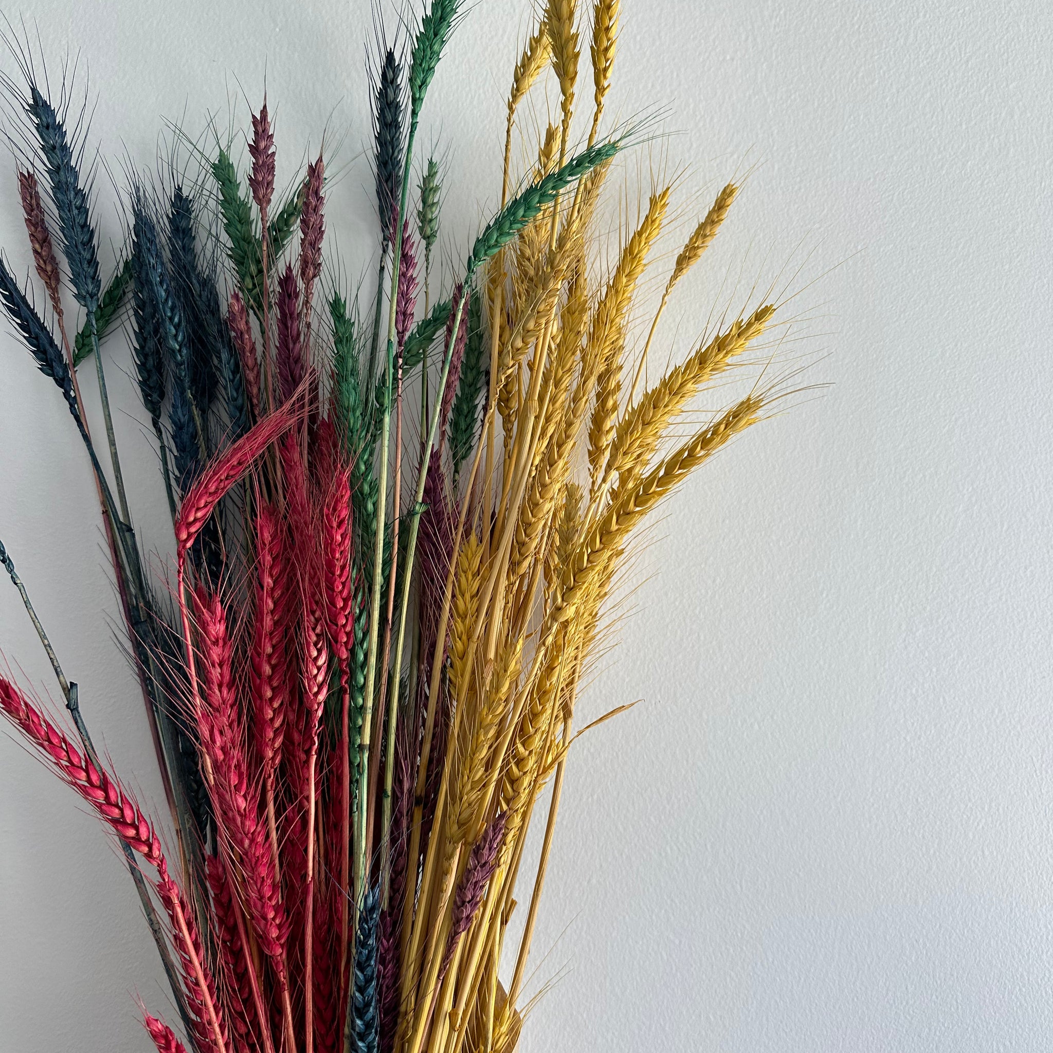 Dried Wheat Bouquet - Rainbow Medium