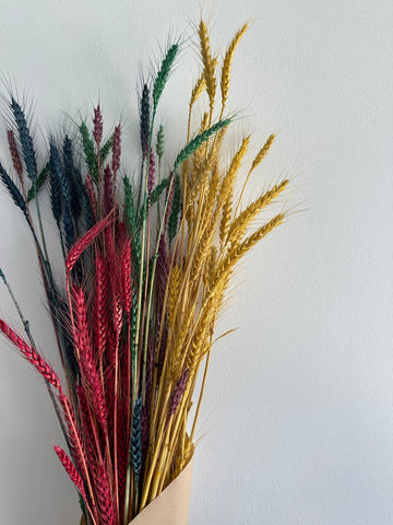 Dried Wheat Bouquet - Rainbow Medium