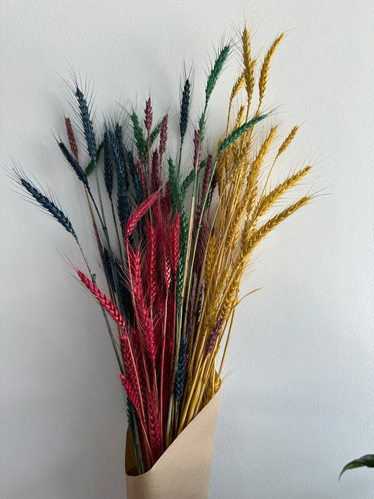 Dried Wheat Bouquet - Rainbow Grande